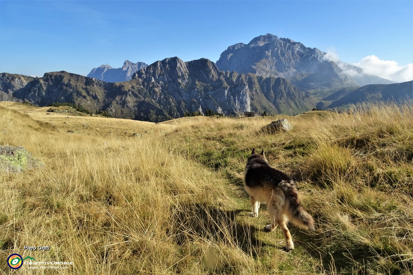 85 Piacevole camminare sui pratoni giallo-oro del pianoro di Monte Campo .JPG